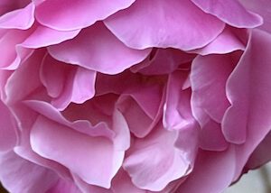 IMG_1548