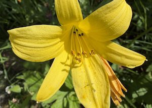 IMG_1602