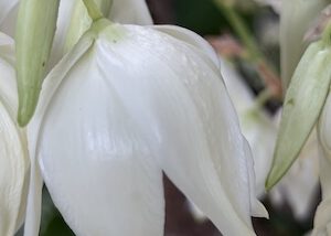 IMG_2512